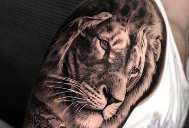 25 Realistic Lion Tattoo Designs For Shoulder That Will Inspire You