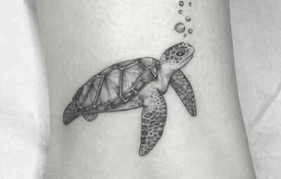 21+Small & Simple Turtle Tattoo Designs - PetPress