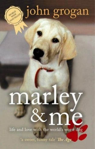 15 Best Books For Dog Lovers To Know Better About Your Dog