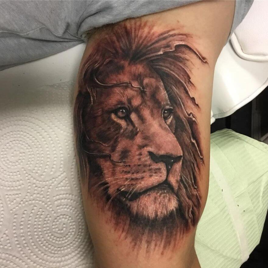 15+ 3d Lion Tattoo Designs and Ideas - PetPress