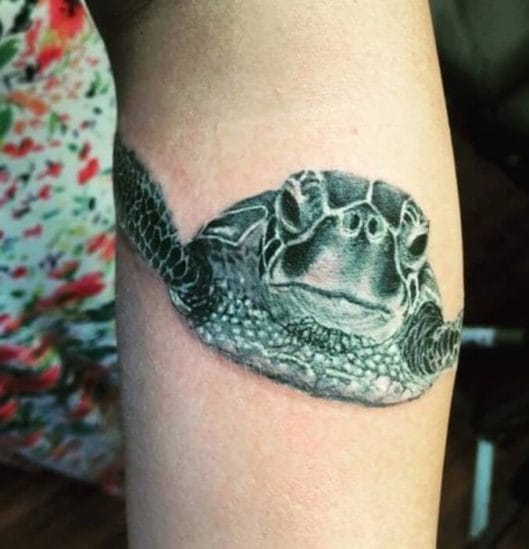 21+ 3D Turtle Tattoos You Won't Believe PetPress