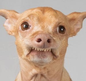 Ugly christmas suit ebay