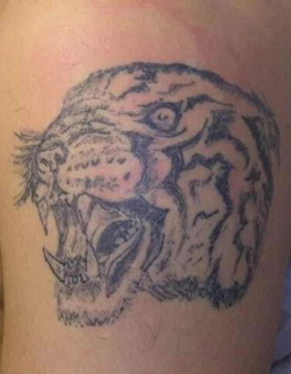 The 10 Worst Tiger Tattoo Designs You Have Ever Seen PetPress