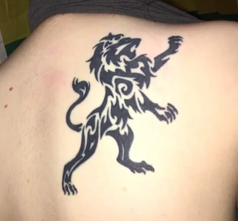 10+ Celtic Lion Tattoo Designs & Ideas - PetPress