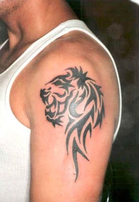 10+ Celtic Lion Tattoo Designs & Ideas - PetPress