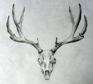 10+ Deer Skull Tattoo Designs On Chest - PetPress