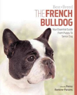 15 Books About French Bulldogs (Part 1) - PetPress