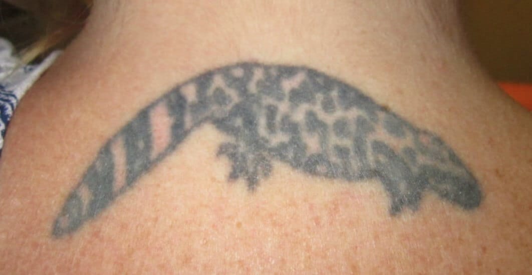 10 Best Gila Monster Tattoo Designs Petpress