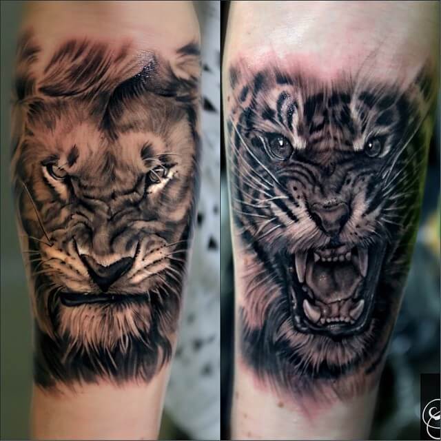 10+ Best Lion and Tiger Tattoo Designs PetPress