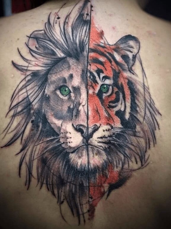 10+ Best Lion and Tiger Tattoo Designs PetPress