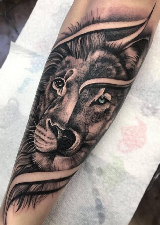 10+ Best Lion and Wolf Tattoo Ideas PetPress