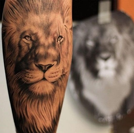 Top 15+ Best Calf Muscle Tattoo Ideas Lion Tattoo Designs PetPress