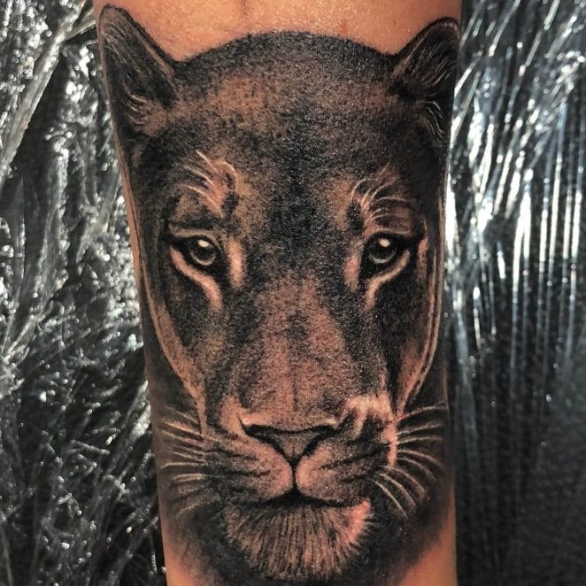 15+ Best Lion Face Tattoo Collection of 2020 - PetPress