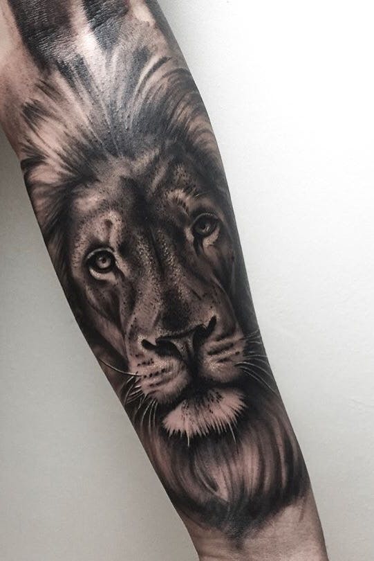 12+ Best Lion Portrait Tattoo Designs PetPress