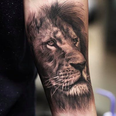 12+ Best Lion Portrait Tattoo Designs - PetPress