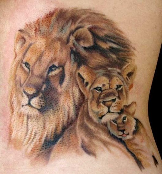 15+ Best Lion Pride Tattoo Designs PetPress