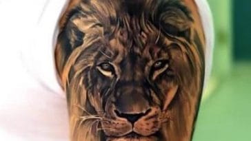 lion tattoo