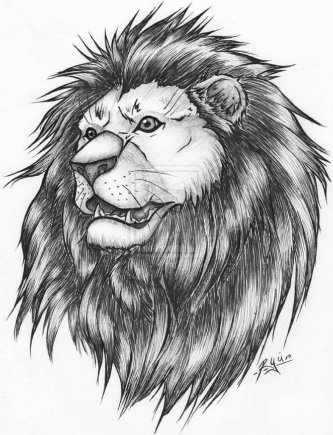 lion tattoo drawing