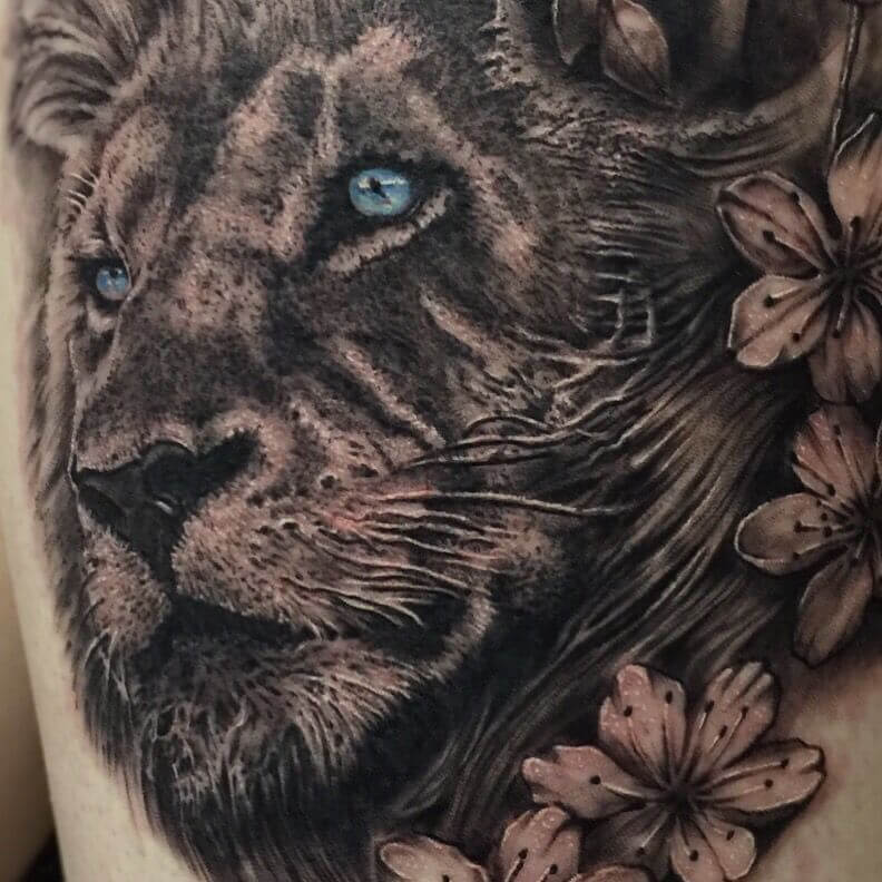 12+ Best Lion Tattoo Ideas Lions With Blue Eyes Page 3 of 3 PetPress