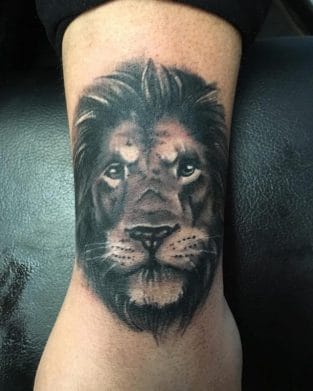 15+ Best Lion Tattoo Ideas - Wrist Designs - PetPress