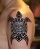 12+ Mayan Turtle Tattoo Designs - PetPress