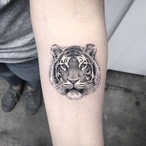 15+ Small Tiger Tattoo Design & Ideas