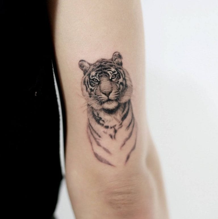 15+ Small Tiger Tattoo Design & Ideas