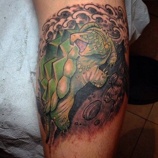 10+ Best Snapping Turtle Tattoo Ideas - PetPress