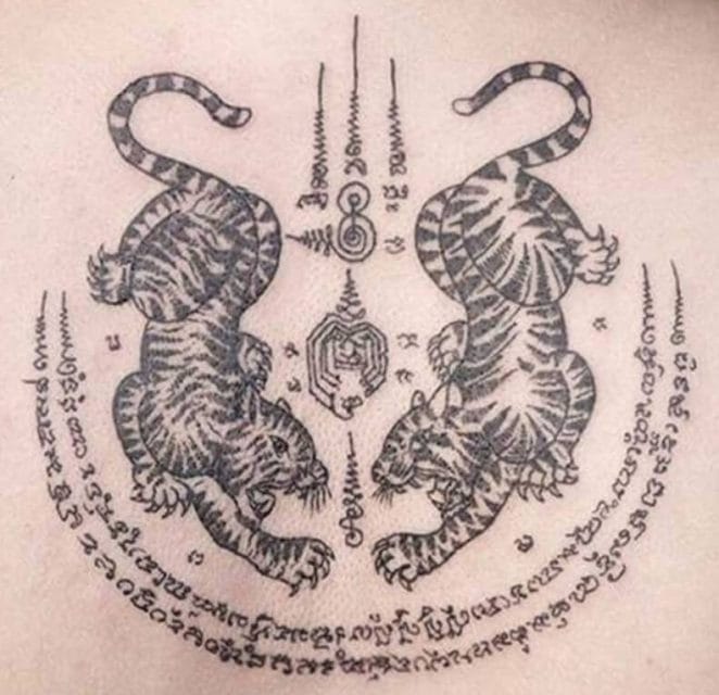 12+ Best Thai Tiger Tattoo Designs - PetPress