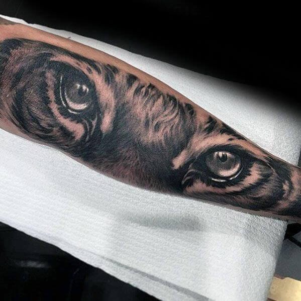 20+ Best Tiger Eyes Tattoo Designs & Ideas - PetPress