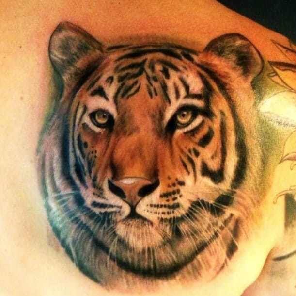 20+ Best Tiger Face Tattoo Designs and Ideas - PetPress