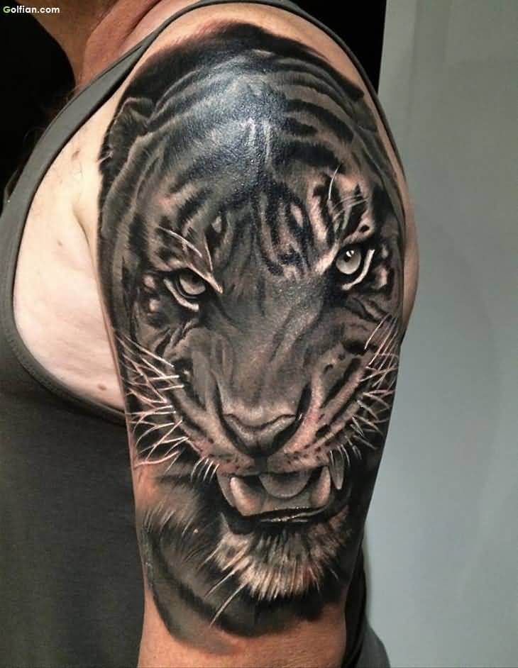 20+ Best Tiger Face Tattoo Designs and Ideas - PetPress