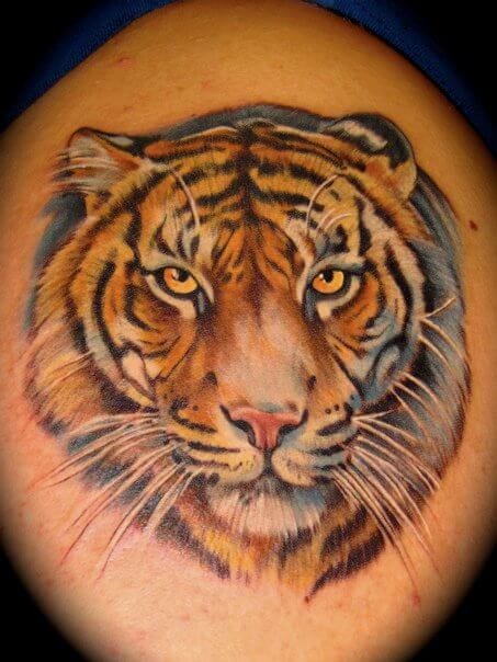 20+ Best Tiger Face Tattoo Designs and Ideas - PetPress