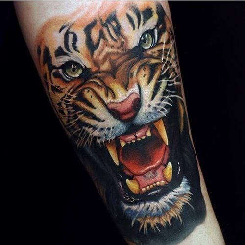 15+ Best Tiger Head Tattoo Designs and Ideas - PetPress