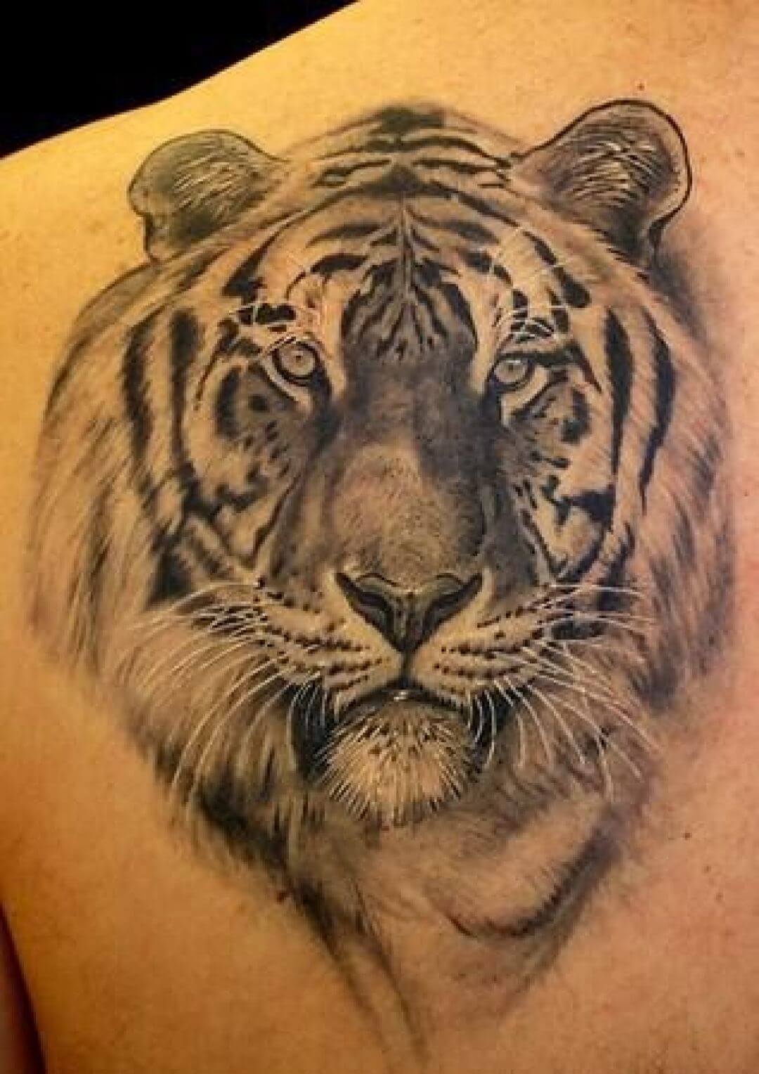 15+ Best Tiger Head Tattoo Designs and Ideas - PetPress