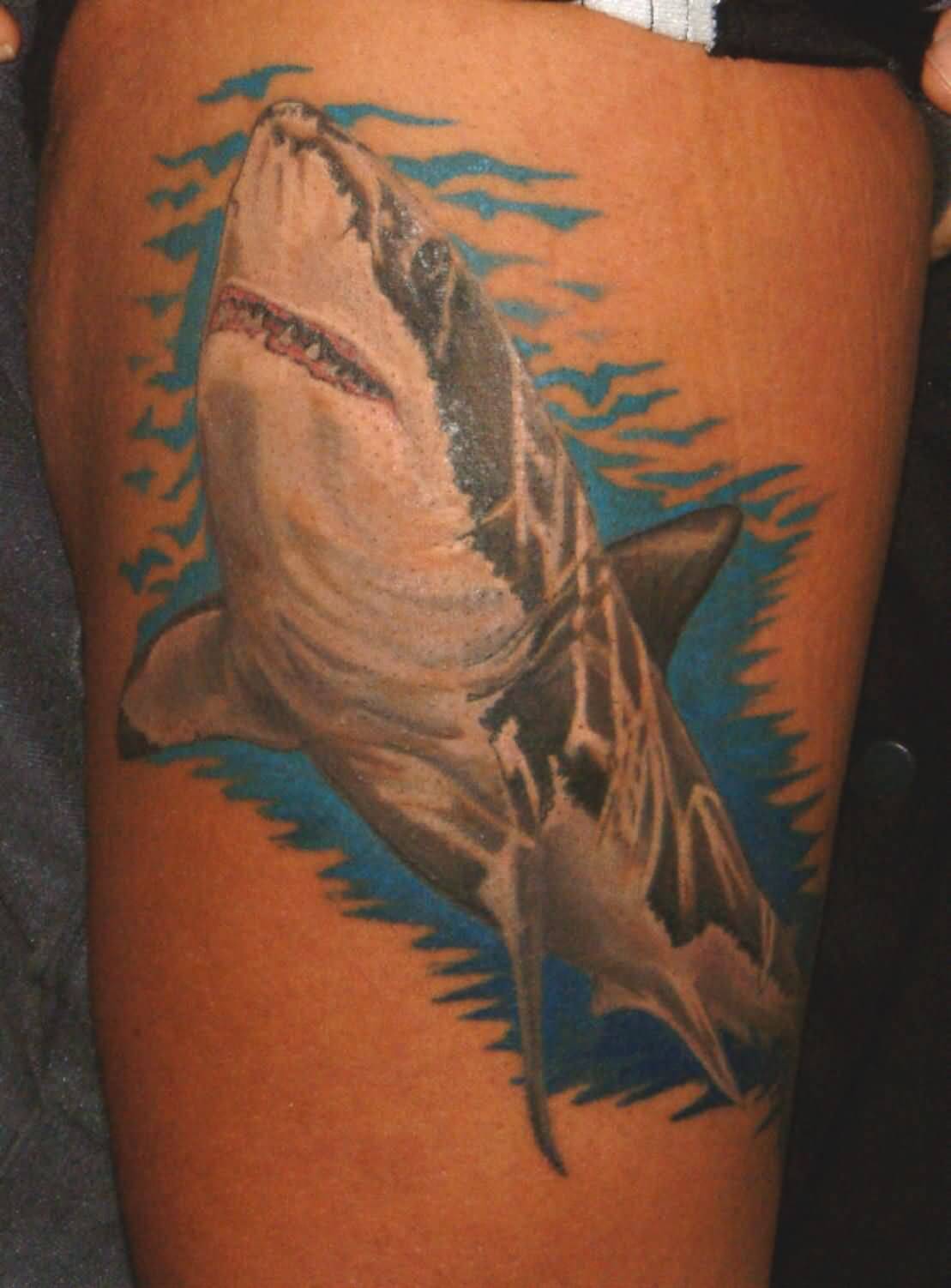 15+ Best Tiger Shark Tattoo Designs and Ideas - PetPress