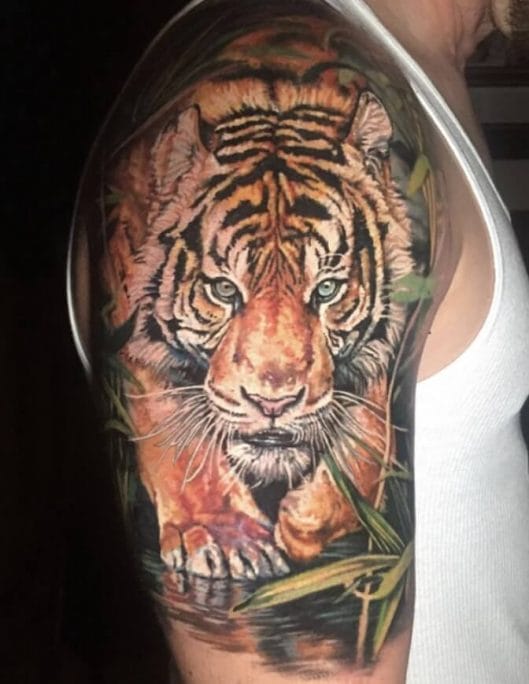 15+ Best Sleeve Tattoo Designs Tiger Tattoo Ideas PetPress