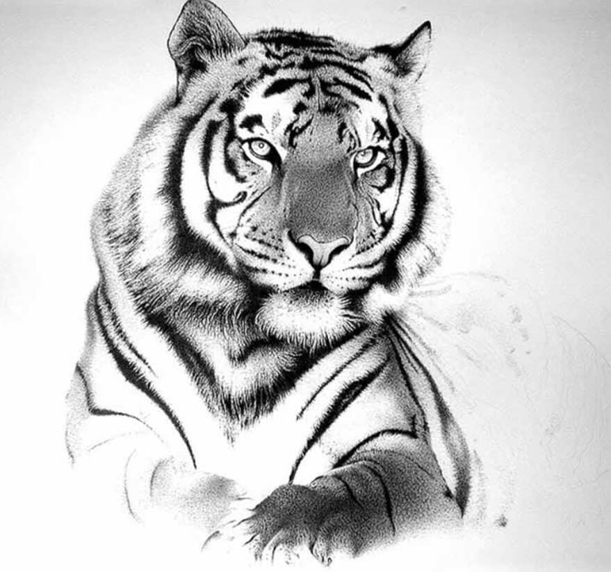 The best Tiger Tattoo drawings of 2022