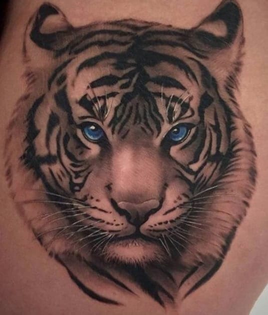 16+ Best Tiger Tattoo Designs For Thigh - PetPress