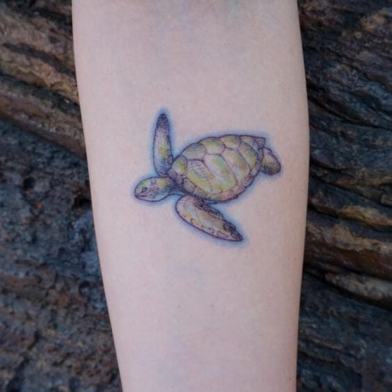 12+ Tiny Sea Turtle Tattoo Designs - PetPress