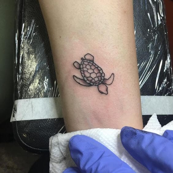 12+ Tiny Sea Turtle Tattoo Designs - Petpress