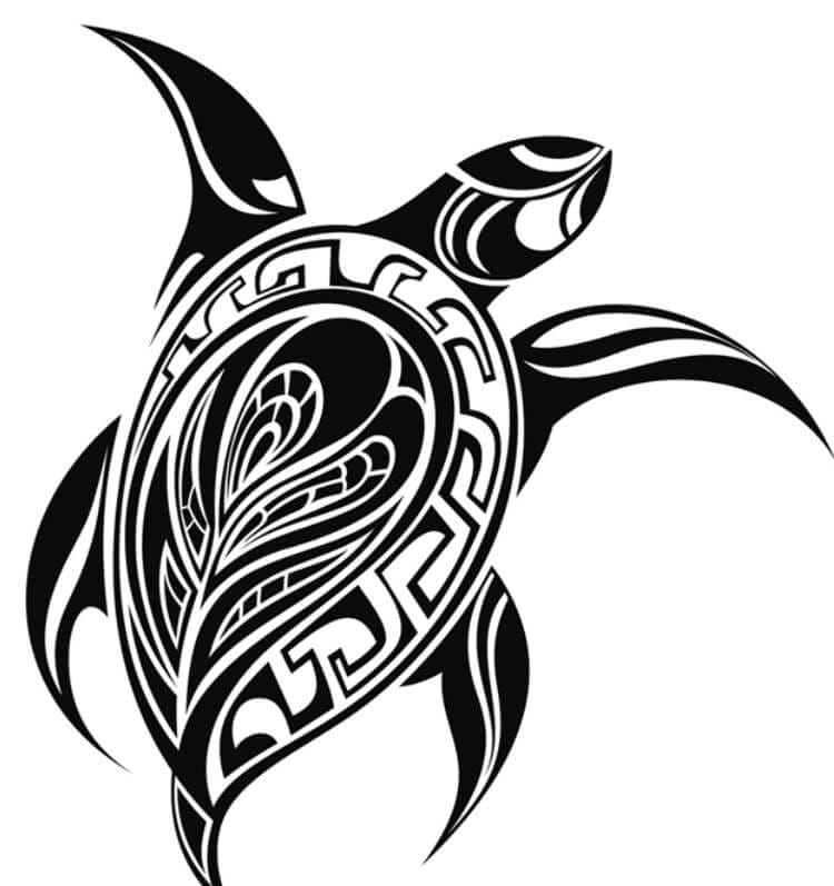 21+ Tribal Sea Turtle Tattoo Designs - PetPress