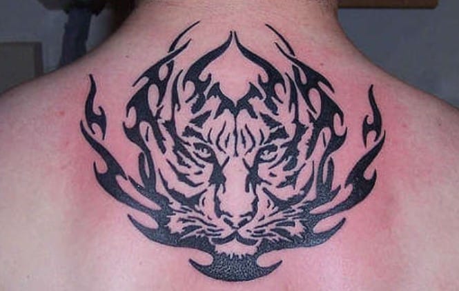 12+ Best Tribal Tiger Tattoo Designs and Ideas - PetPress