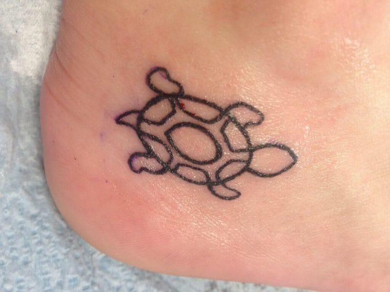 12+ Turtle Outline Tattoo Ideas - PetPress