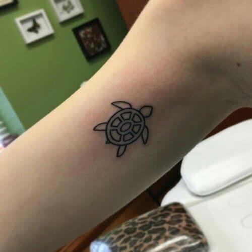 12+ Turtle Outline Tattoo Ideas - PetPress