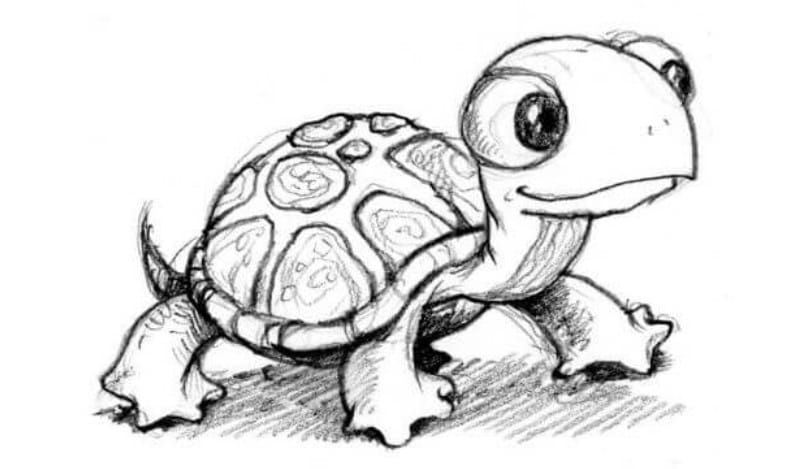 12+ Turtle Outline Tattoo Ideas - PetPress