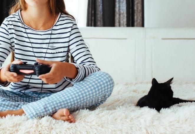 Cat Names Inspired By Playstation & Xbox Video Games