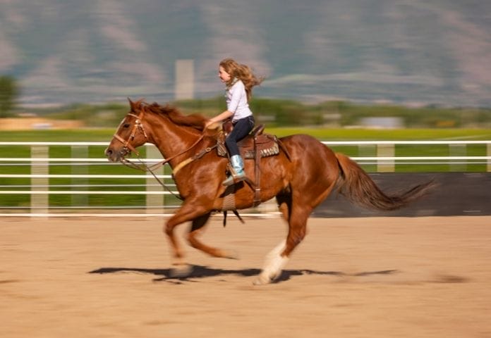 Fast Horse Names For Mares (Female)