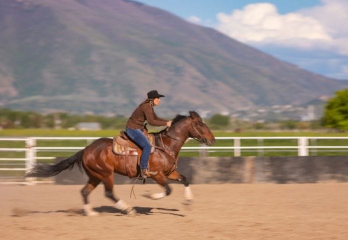 Fast Horse Names For Stallions:Geldings (Male)