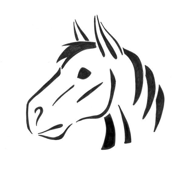 TOP 9 Most Famous Horses In The World PetPress